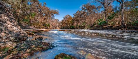 A river flowing through a forested area with a stone wall on one side and trees on the other.