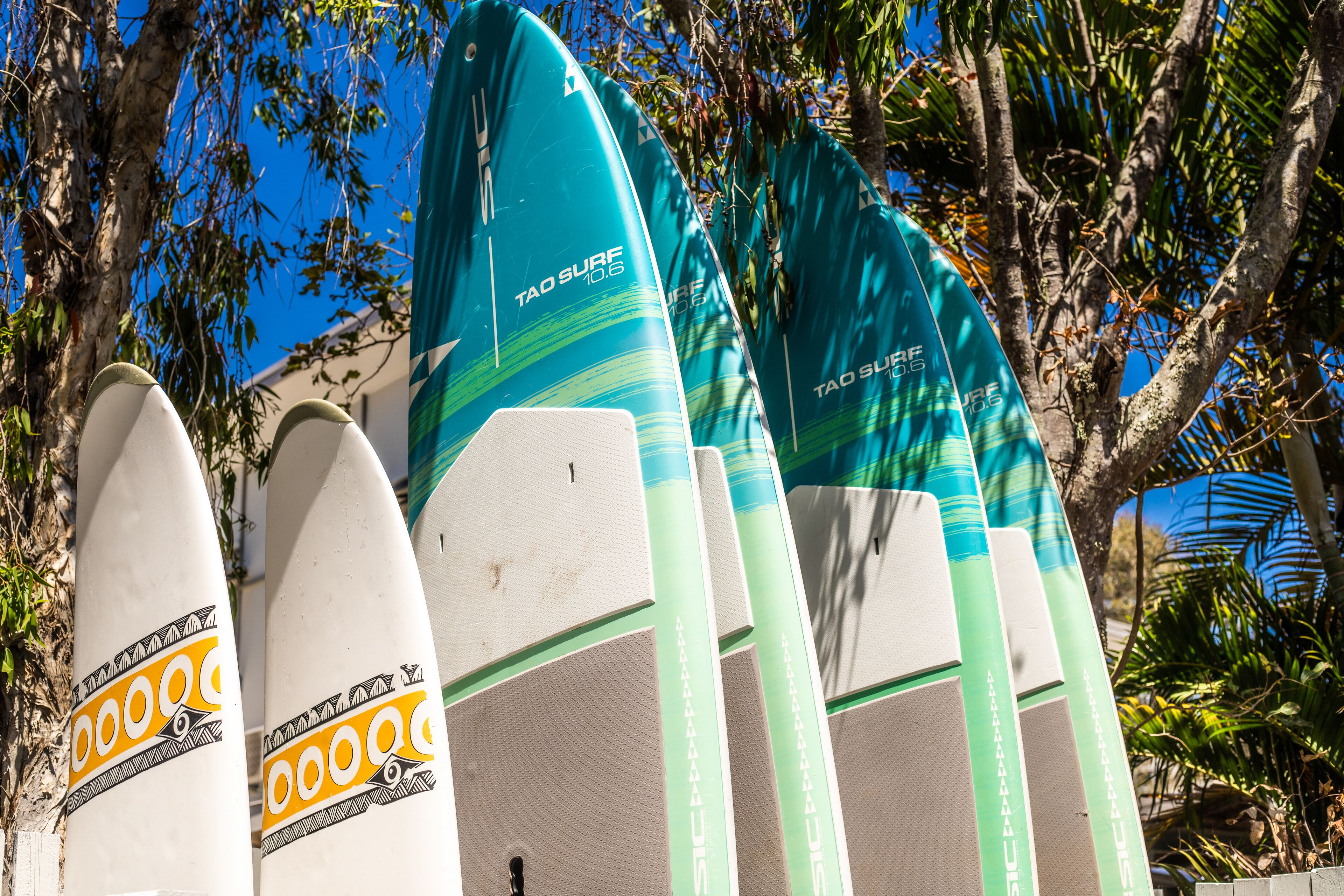 Une rangée de planches de surf appuyées contre un mur, avec des arbres en arrière-plan.