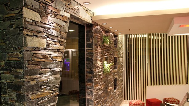 Un intérieur moderne avec un mur en pierre, une porte en verre et une cloison en lattes de bois.