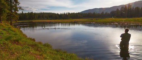 Un lago tranquilo con una persona pescando, rodeado de abundante vegetación y montañas a lo lejos.