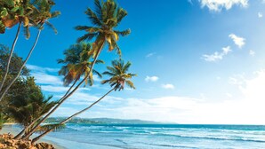 A beach with palm trees and a clear blue sky. - Magdalena Grand Beach & Golf Resort (Lowlands)