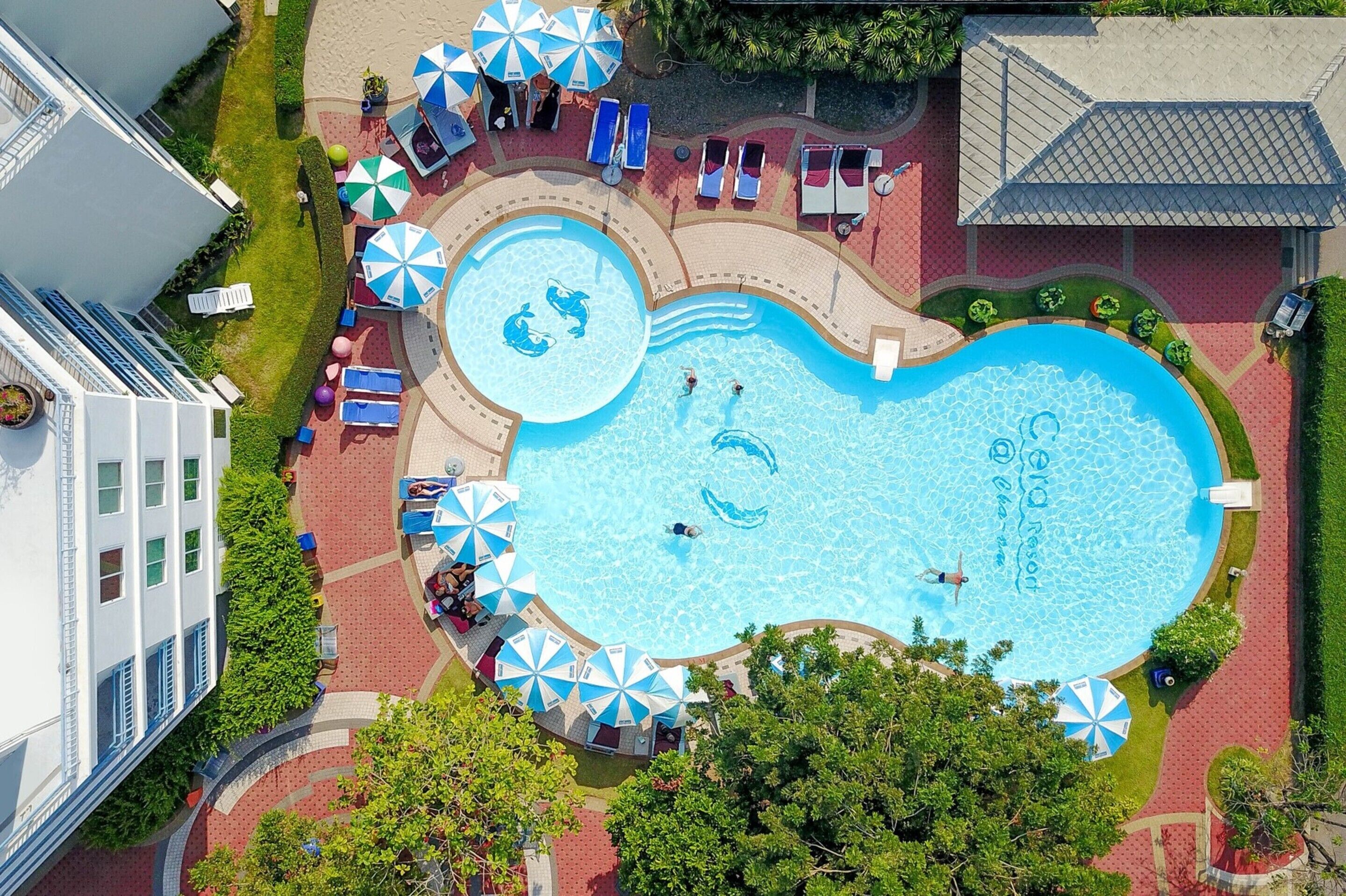 Outdoor pool, pool umbrellas, sun loungers