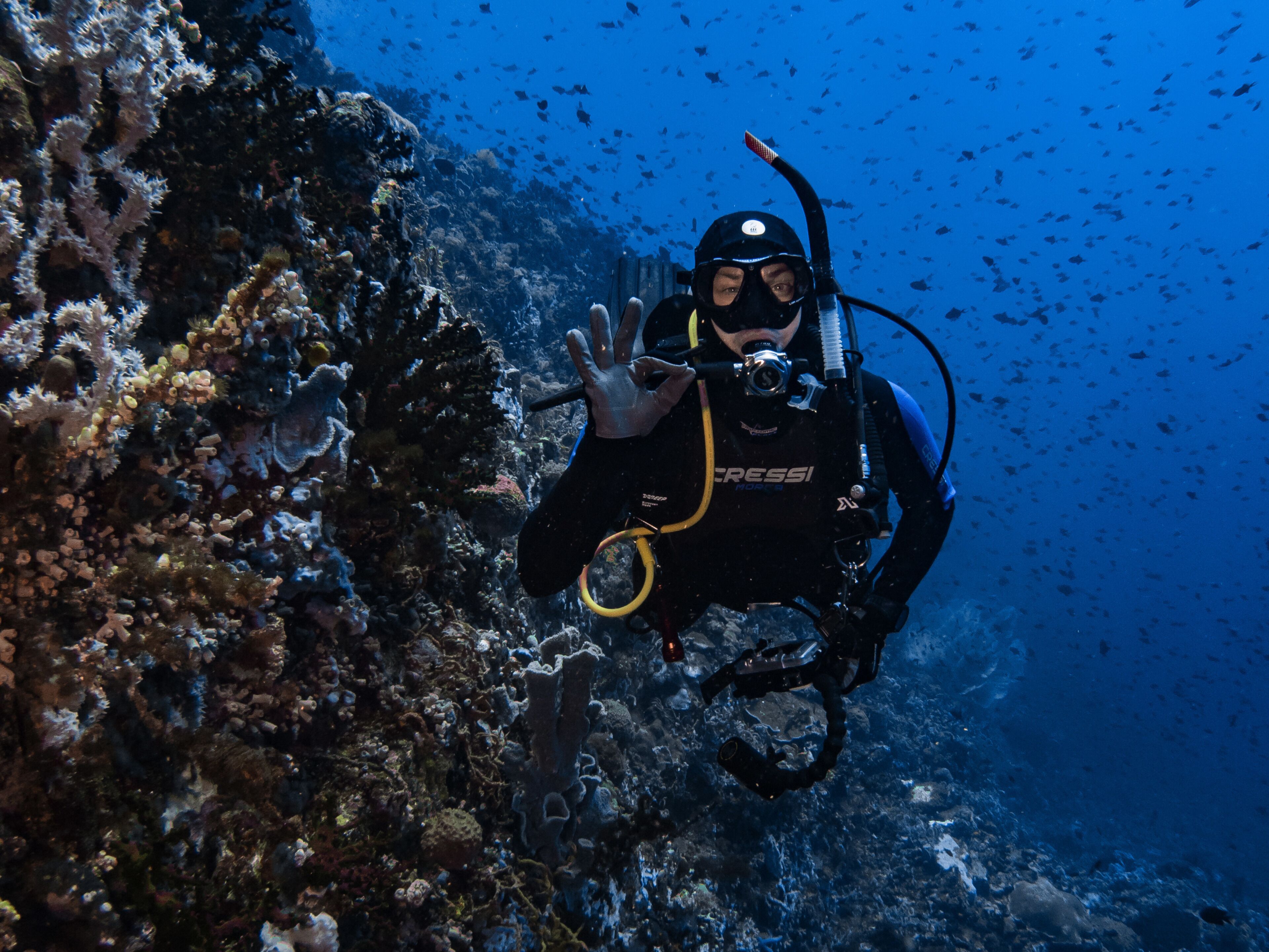 A diver in a black wetsuit with a yellow ring, surrounded by coral and fish in a clear blue underwater environment.