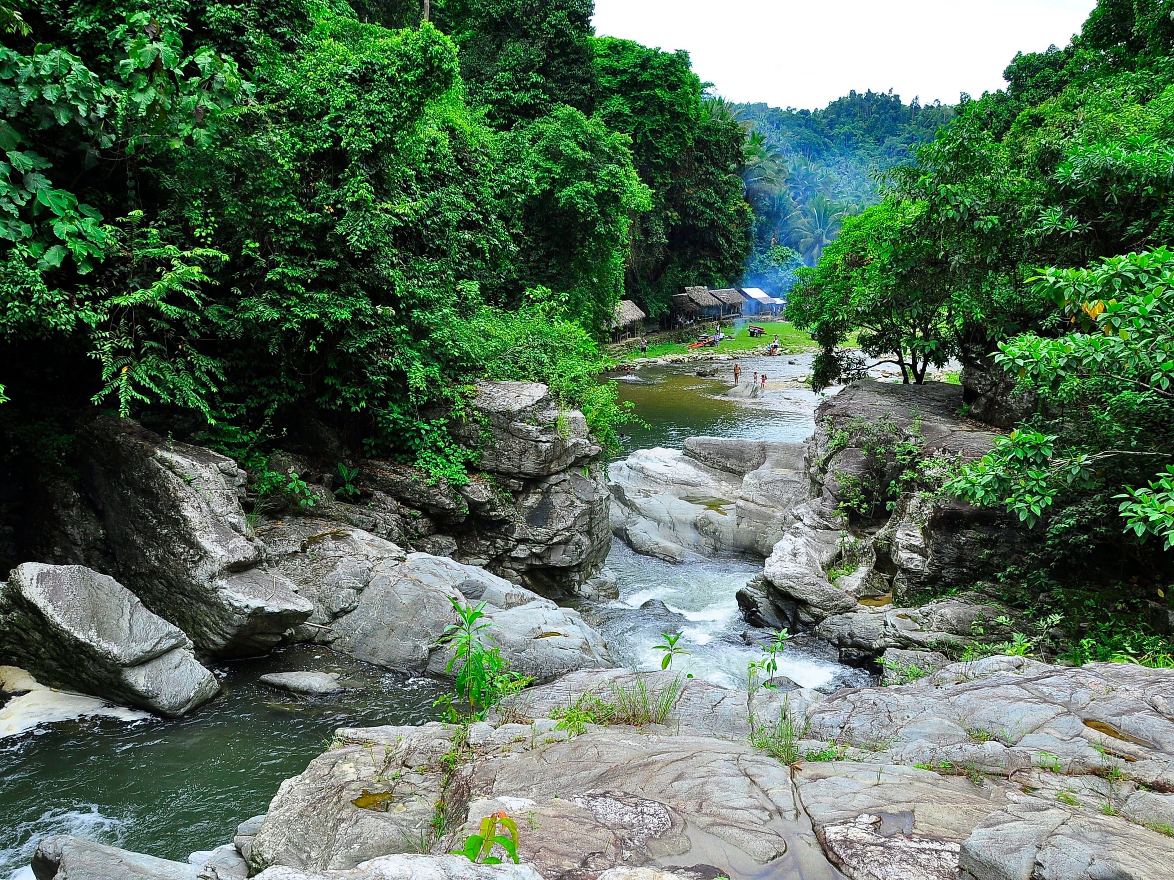 A rocky riverbed with a flowing stream, surrounded by dense green foliage and trees.