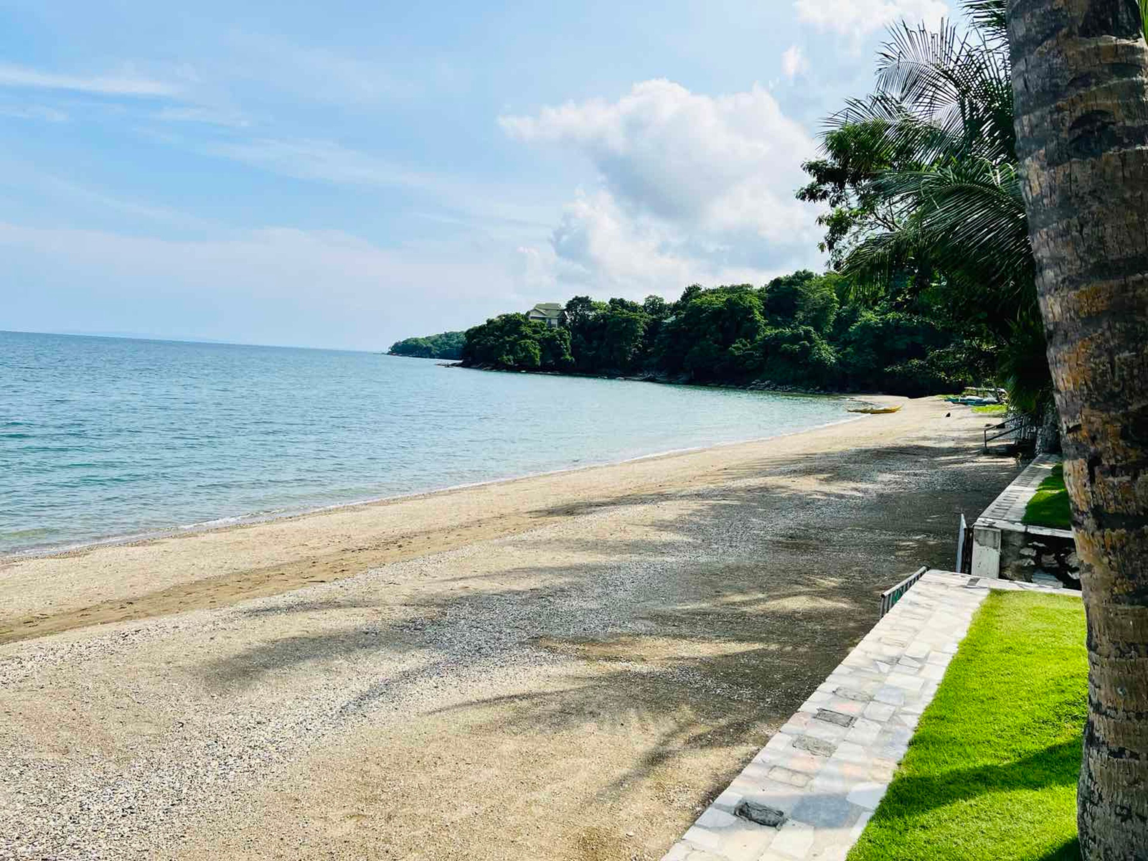 A beach with a paved walkway, a grassy area, and a palm tree.