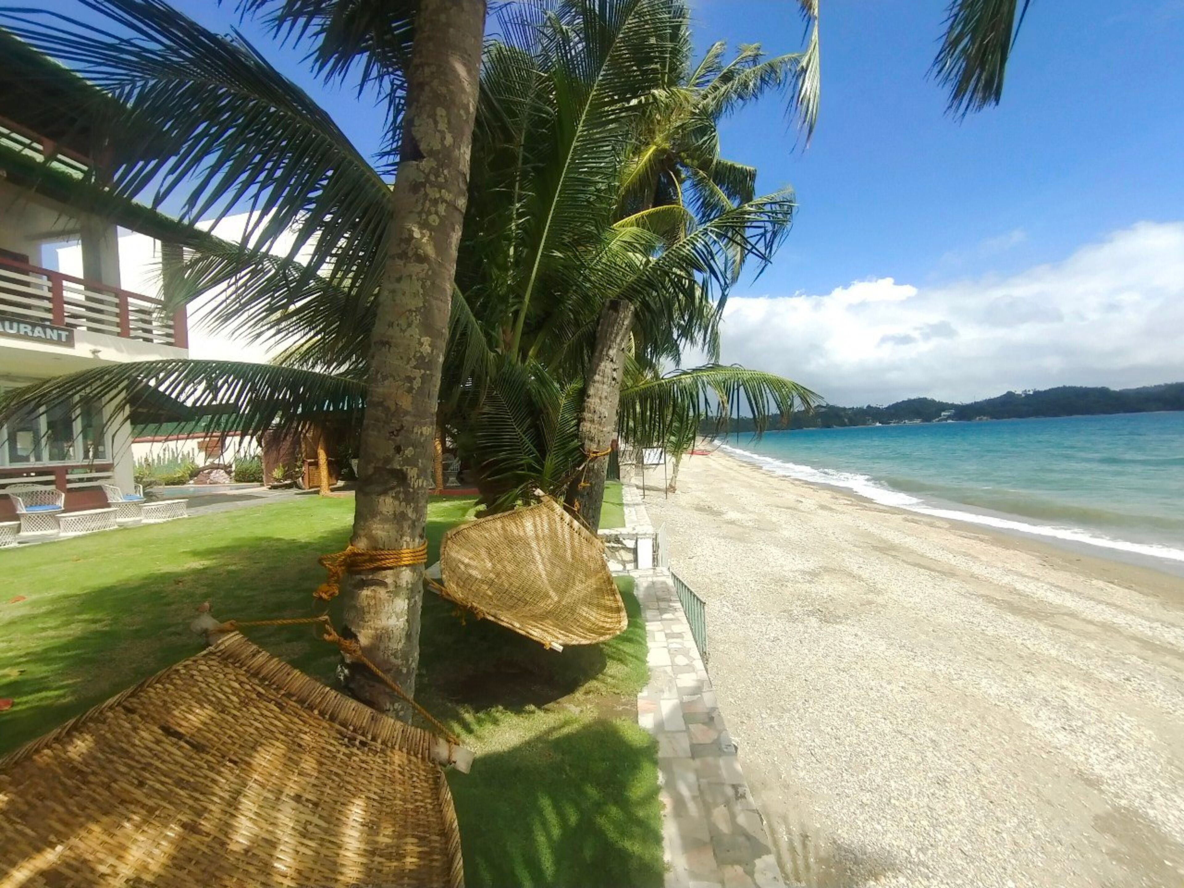 A beachside hotel with palm trees, a clear view of the ocean, and a pathway leading to the beach.