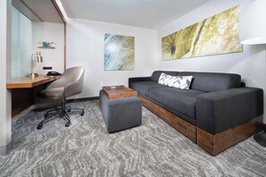 37-inch flat-screen TV with cable channels, TV, iPod dock - SpringHill Suites Philadelphia Valley Forge/King of Prussia (King of Prussia)