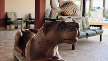 Habitación superior con 1 cama doble o 2 individuales, 1 cama de matrimonio, balcón | Terraza o patio