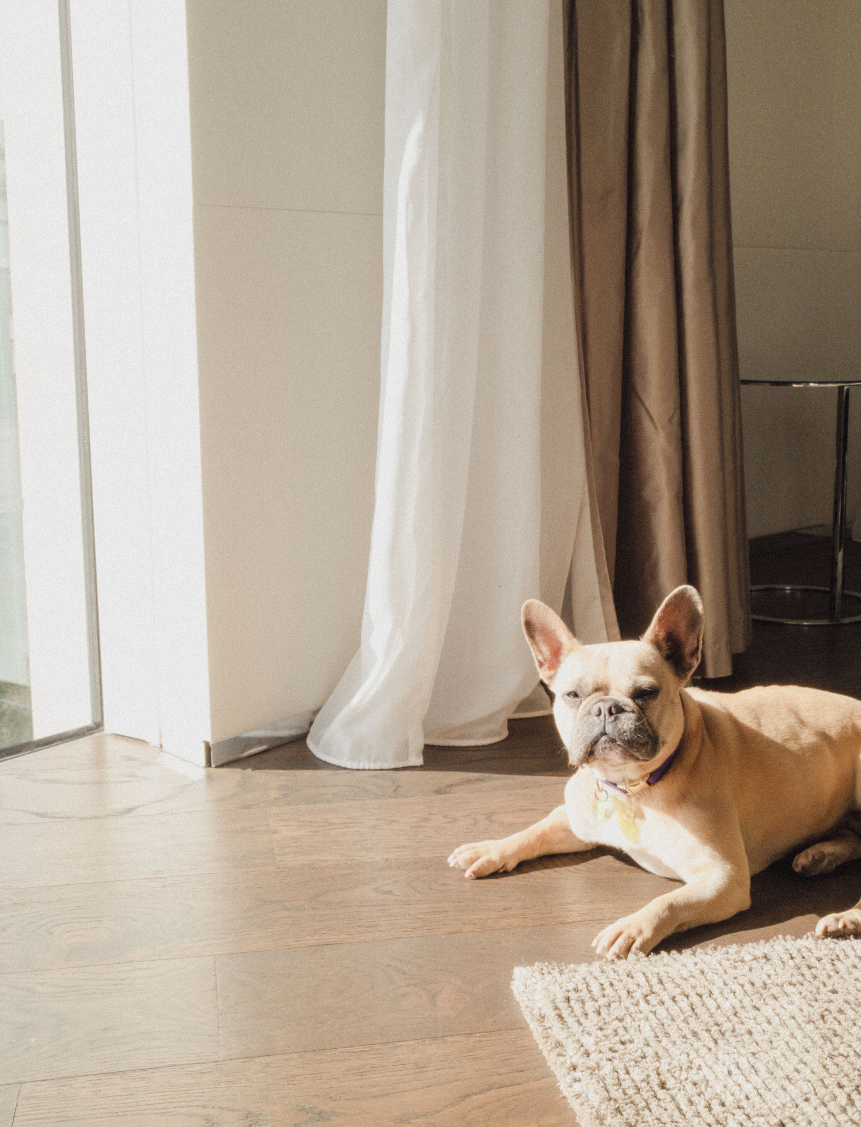 A room with a wooden floor, a white curtain, and a brown curtain.