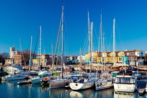 Un puerto deportivo con varios veleros amarrados, rodeado de edificios coloridos.