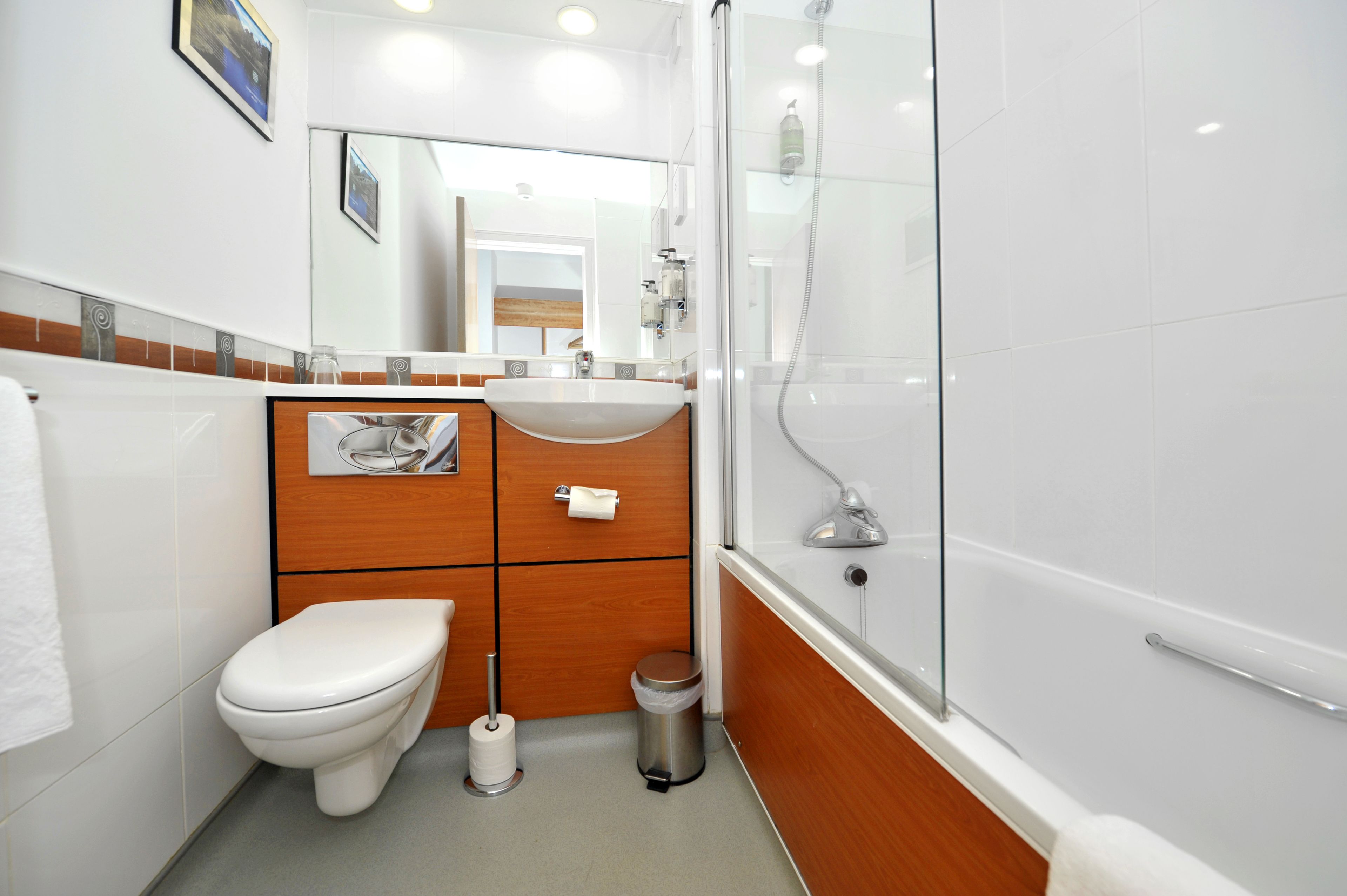 combined shower/bathtub, free toiletries, hair dryer, towels