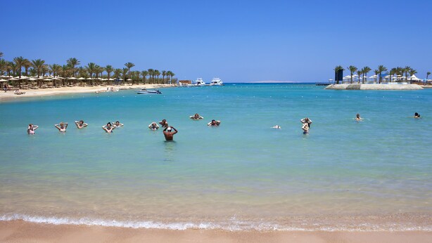 Una playa con aguas turquesas cristalinas, palmeras y una orilla de arena.
