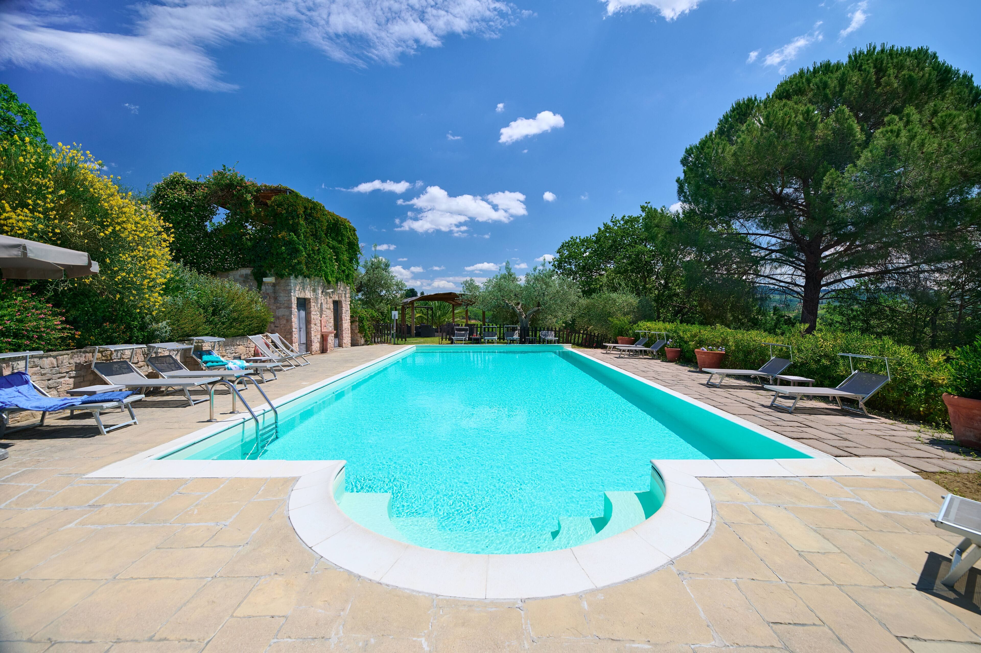 Outdoor pool, sun loungers