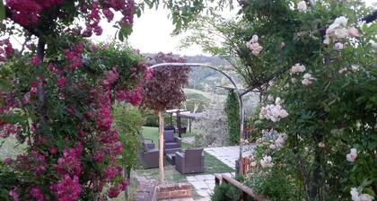 Le Fonti a San Giorgio