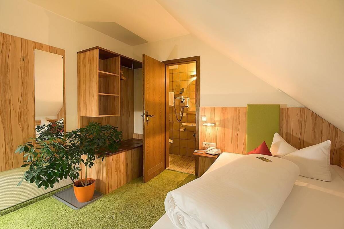 standard double room single use, private bathroom | premium bedding, down duvets, pillow-top beds, minibar