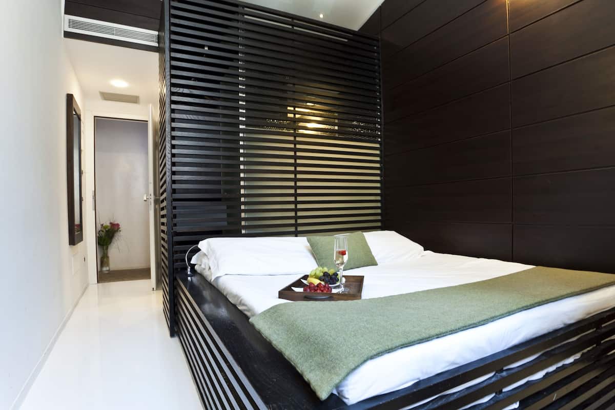 Basic Double Room, 1 Large Single Bed, City View | Egyptian cotton sheets, premium bedding, down duvets, minibar