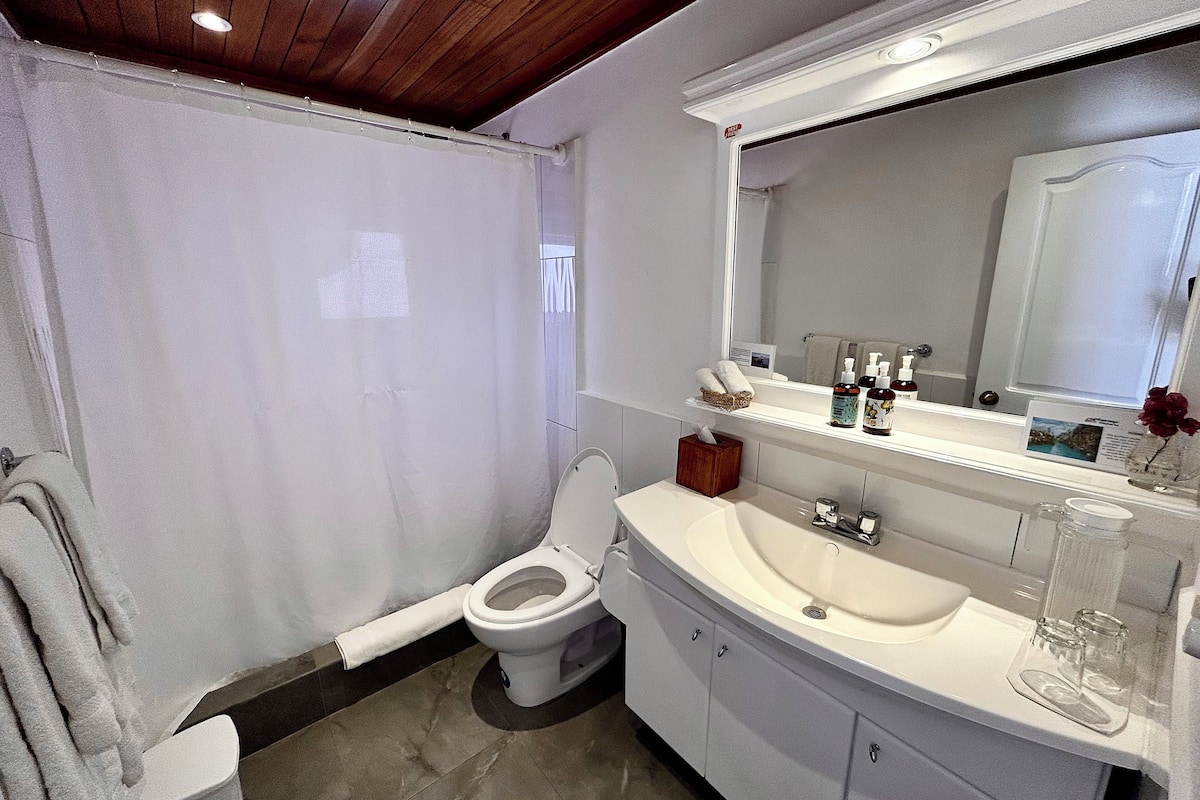 standard double room, 1 bedroom, garden view, ground floor | bathroom | free toiletries, hair dryer, towels, soap