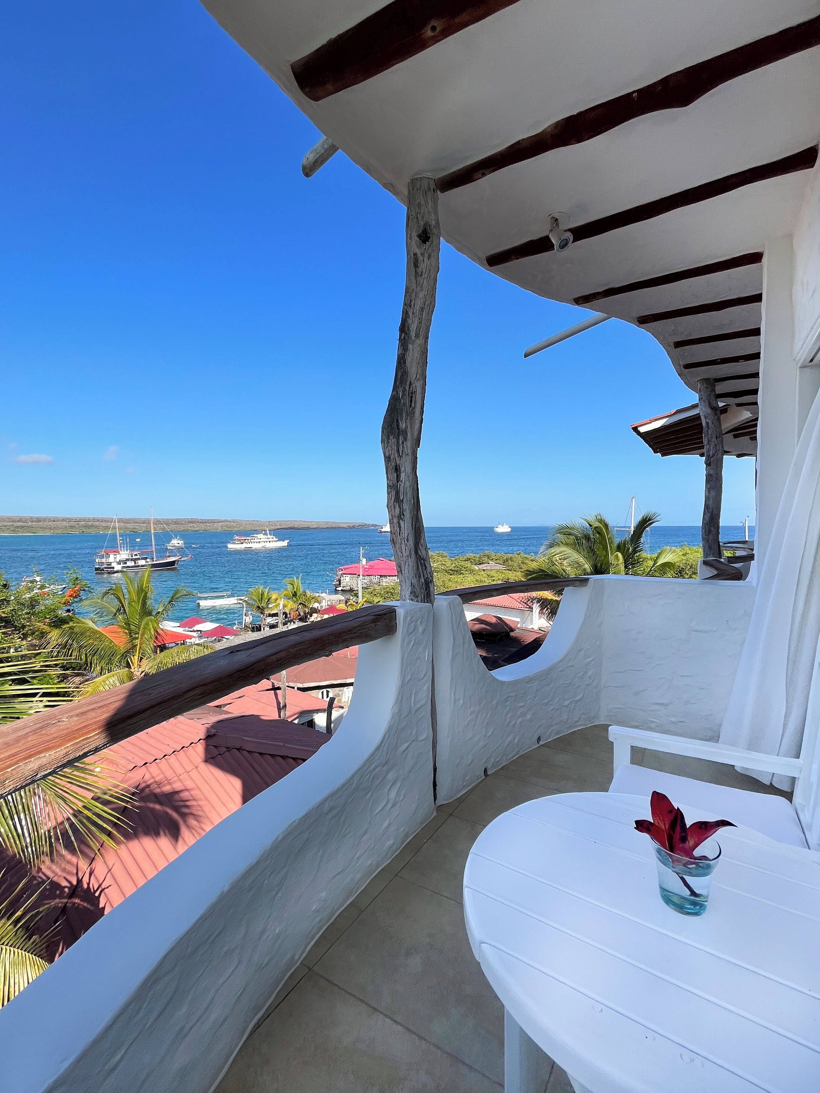 standard double room, 1 queen bed, ocean view | balcony view