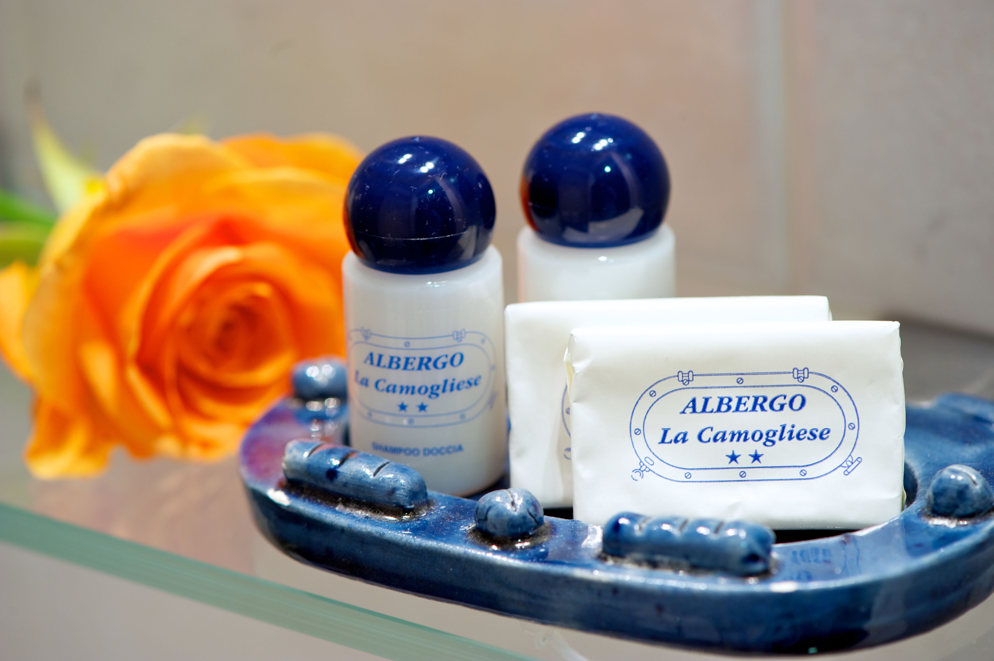 shower, free toiletries, hair dryer, slippers