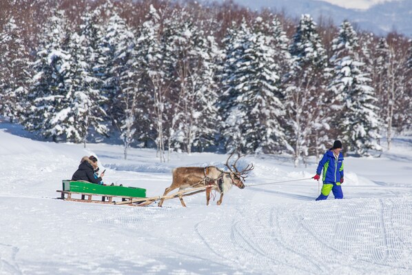 A person in a blue snowsuit pulling a reindeer-drawn sled with a green bench. - The Green Leaf Niseko Village, Tapestry Collection by Hilton (Niseko)