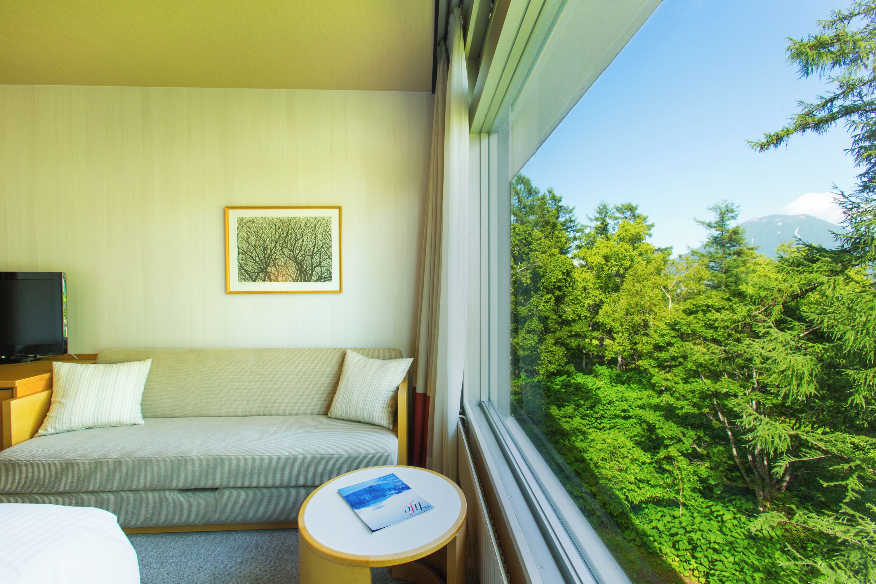 A hotel room with a sofa, a small table, a TV, and a window with a view of green trees and a mountain.