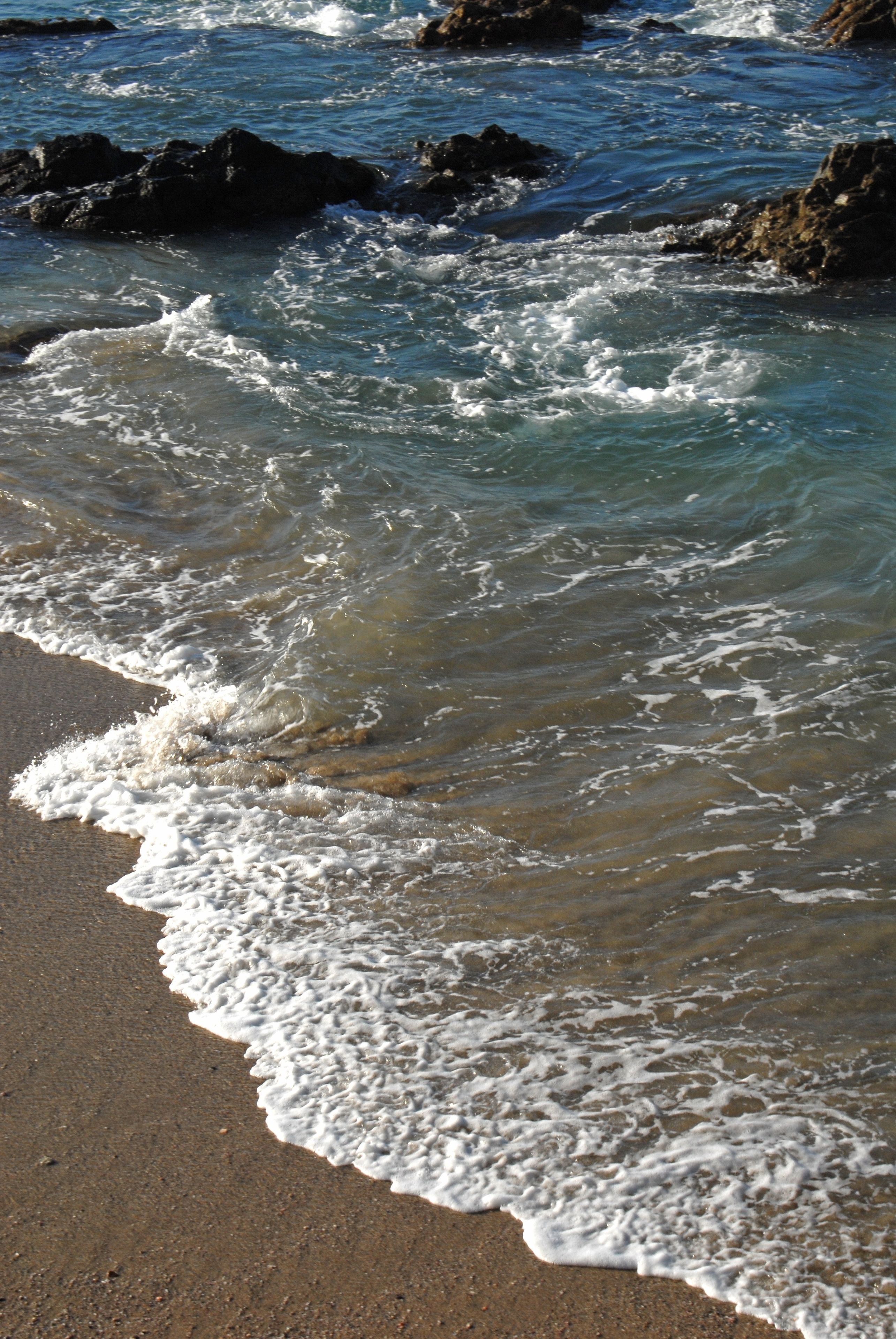 Beach nearby, beach shuttle, sun loungers, beach umbrellas
