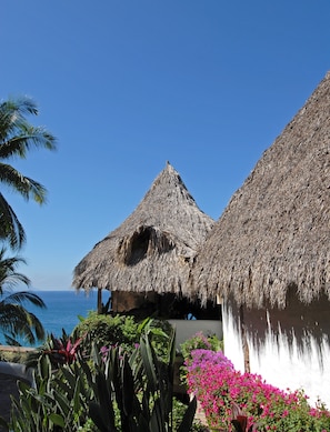 Property grounds - Casa de Las Palapas Private Estate (Puerto Vallarta)
