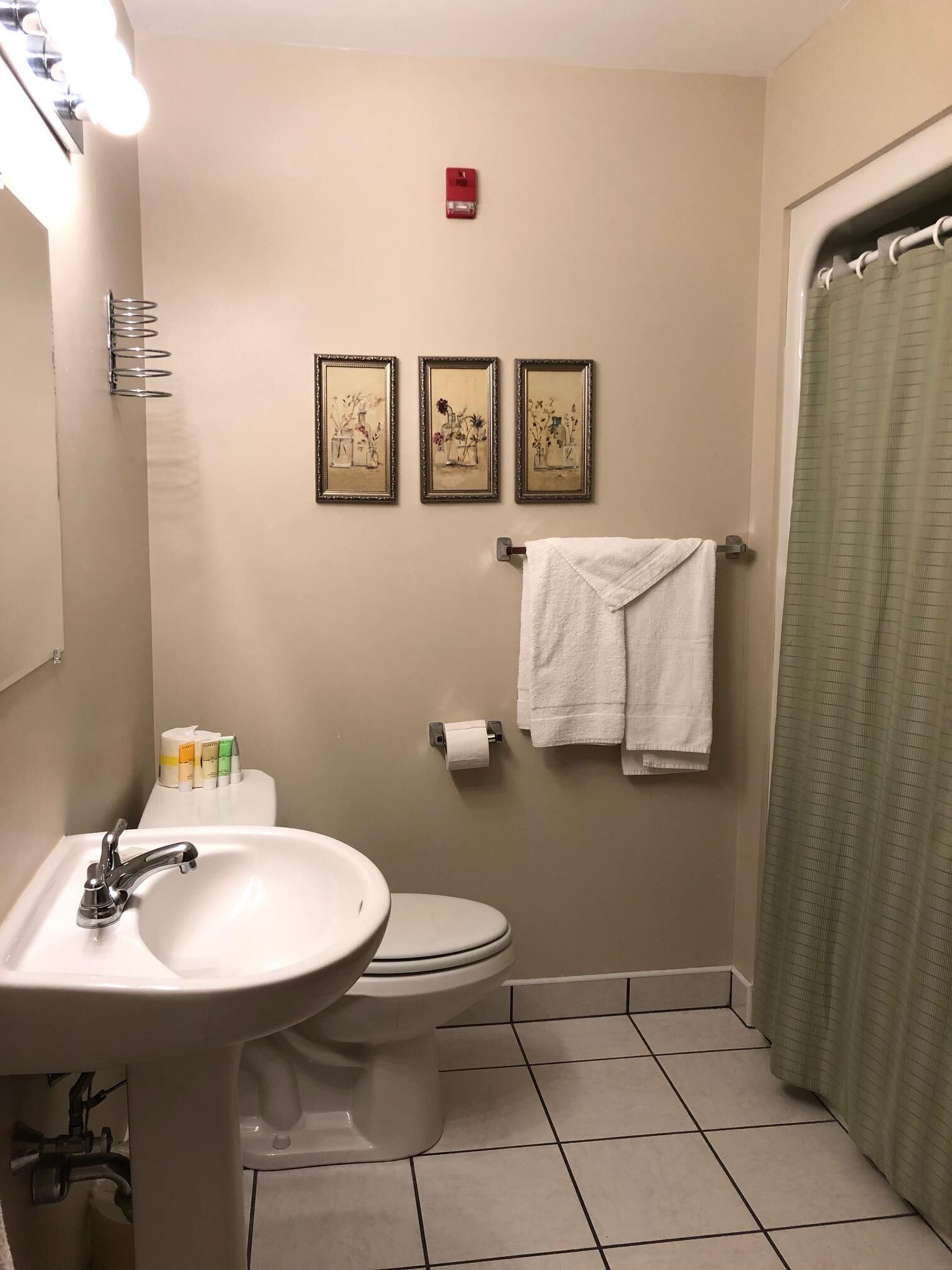 Een badkamer met een wastafel, toilet en douchegordijn. Er hangen drie ingelijste foto’s aan de muur, een handdoekhouder met een handdoek en toiletpapier.