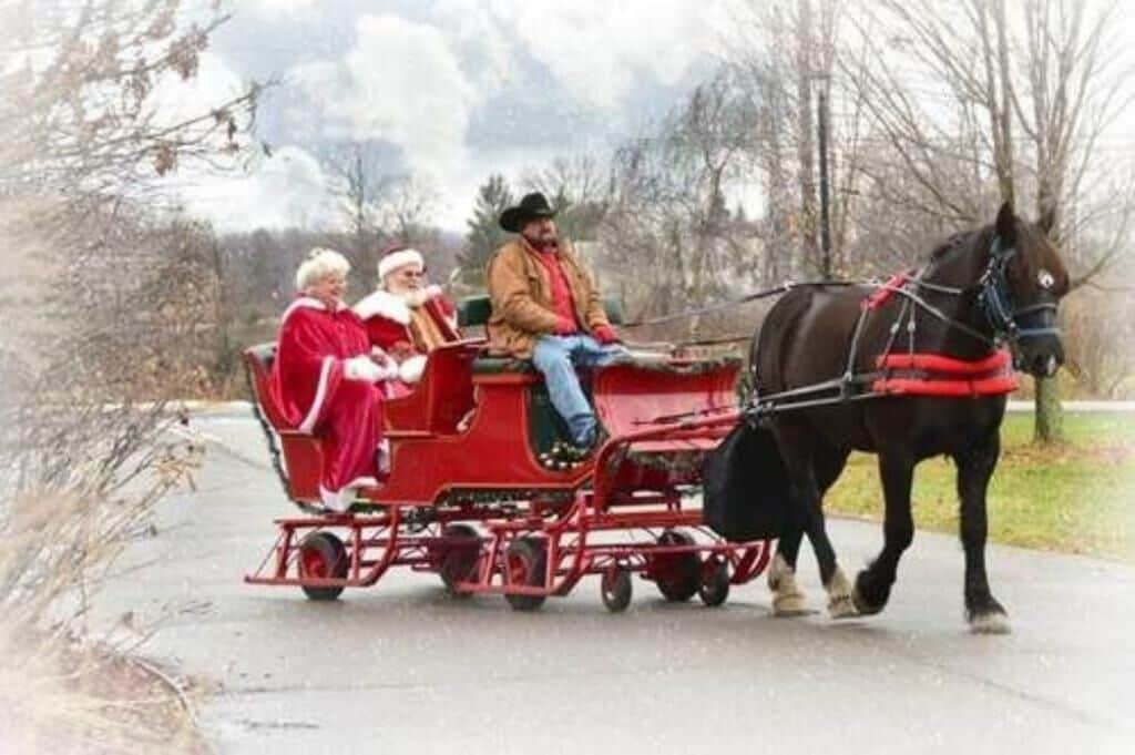 Une calèche tirée par des chevaux transportant trois passagers, dont une personne portant un bonnet de Père Noël, circulant sur une route asphaltée.