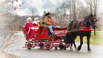 Une calèche tirée par des chevaux transportant trois passagers, dont une personne portant un bonnet de Père Noël, circulant sur une route asphaltée.