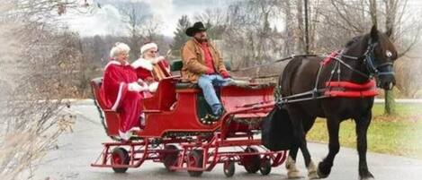 Un carruaje tirado por caballos con tres pasajeros, incluyendo a una persona con sombrero de Papá Noel, circulando por una calle pavimentada.