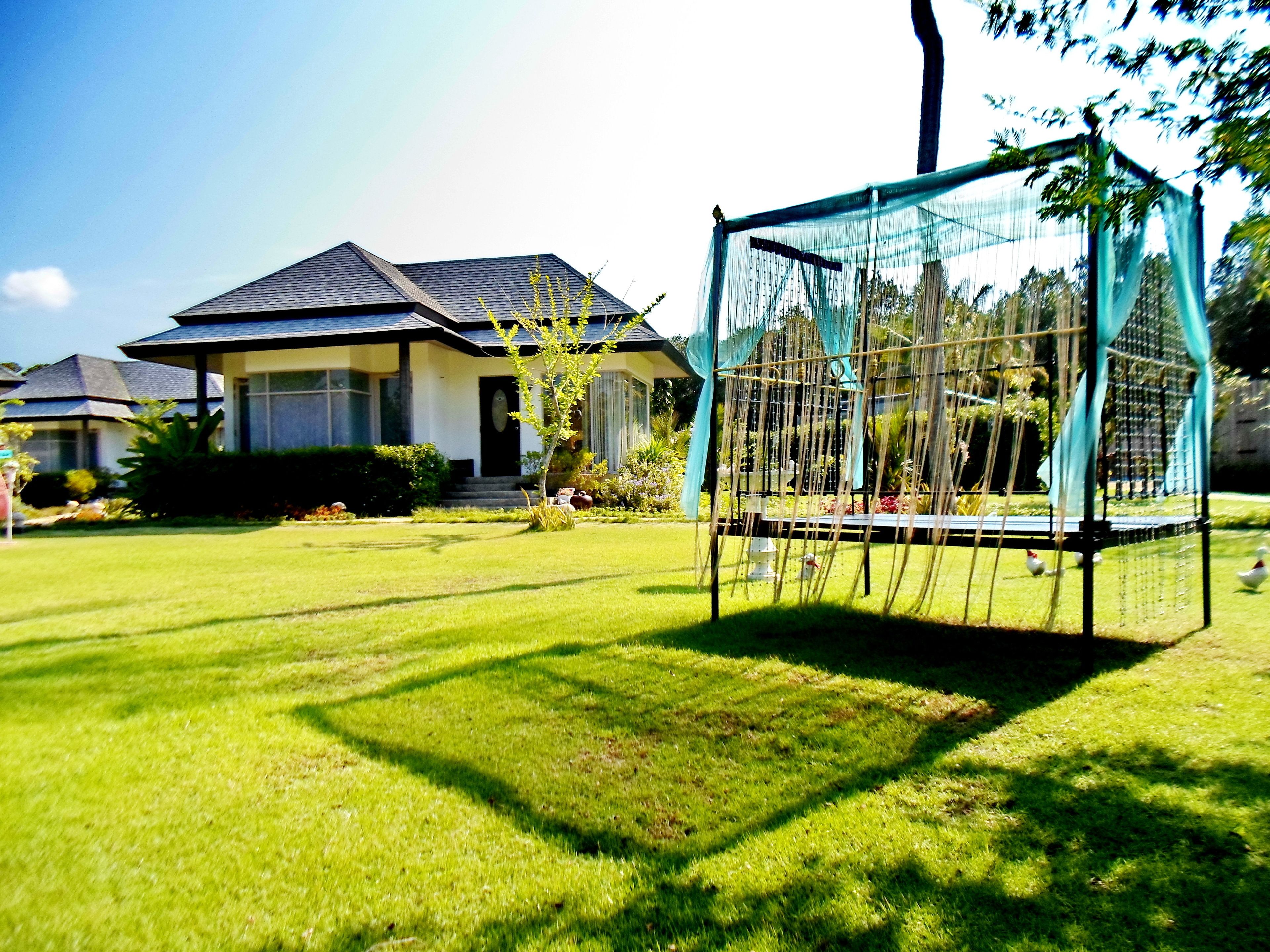suite, garden view | view from room