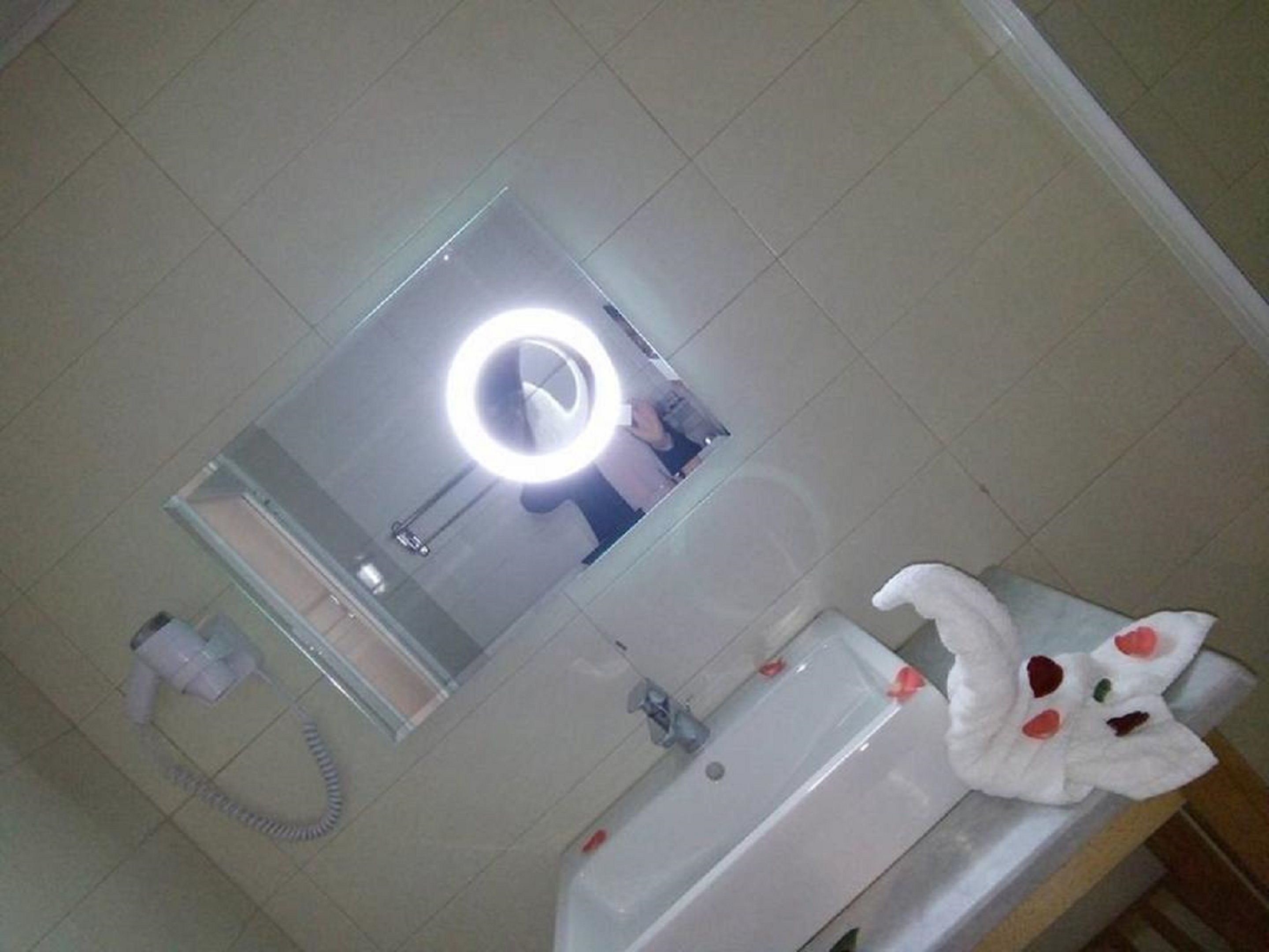 A bathroom with a mirror, a ring light, a white sink, and a plush toy.