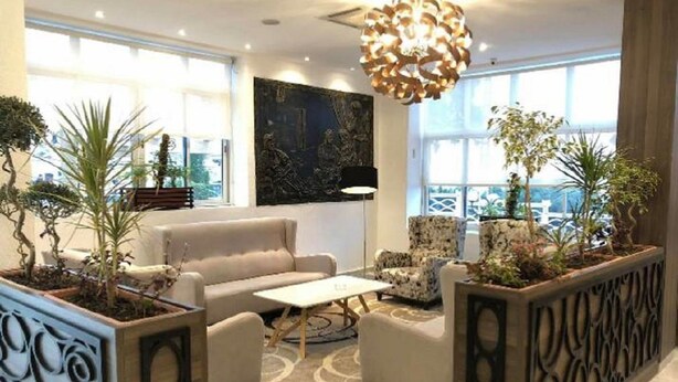 A modern lounge area with a sofa, armchairs, a coffee table, and decorative plants.