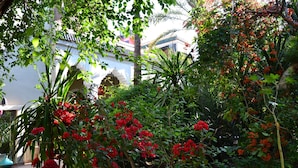 Un patio con plantas en macetas y un edificio tradicional con tejado de azulejos.