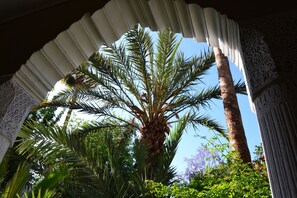 Garden - Riad El Arsat (Marrakech)