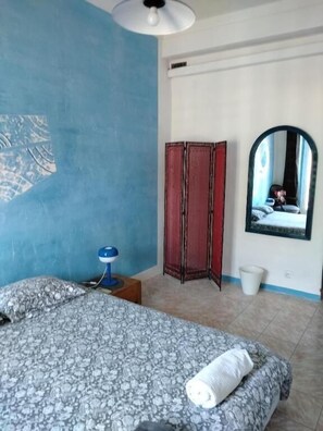 Comfort Double or Twin Room, Shared Bathroom, City View (LA CHAMBRE BLEUE) - Chez Brigitte Guesthouse (Nice)