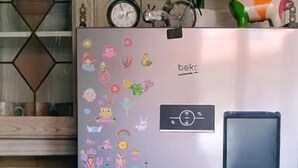 A refrigerator with children's stickers, a clock, and a small plant on top. - Chez Brigitte Guesthouse (Nice)
