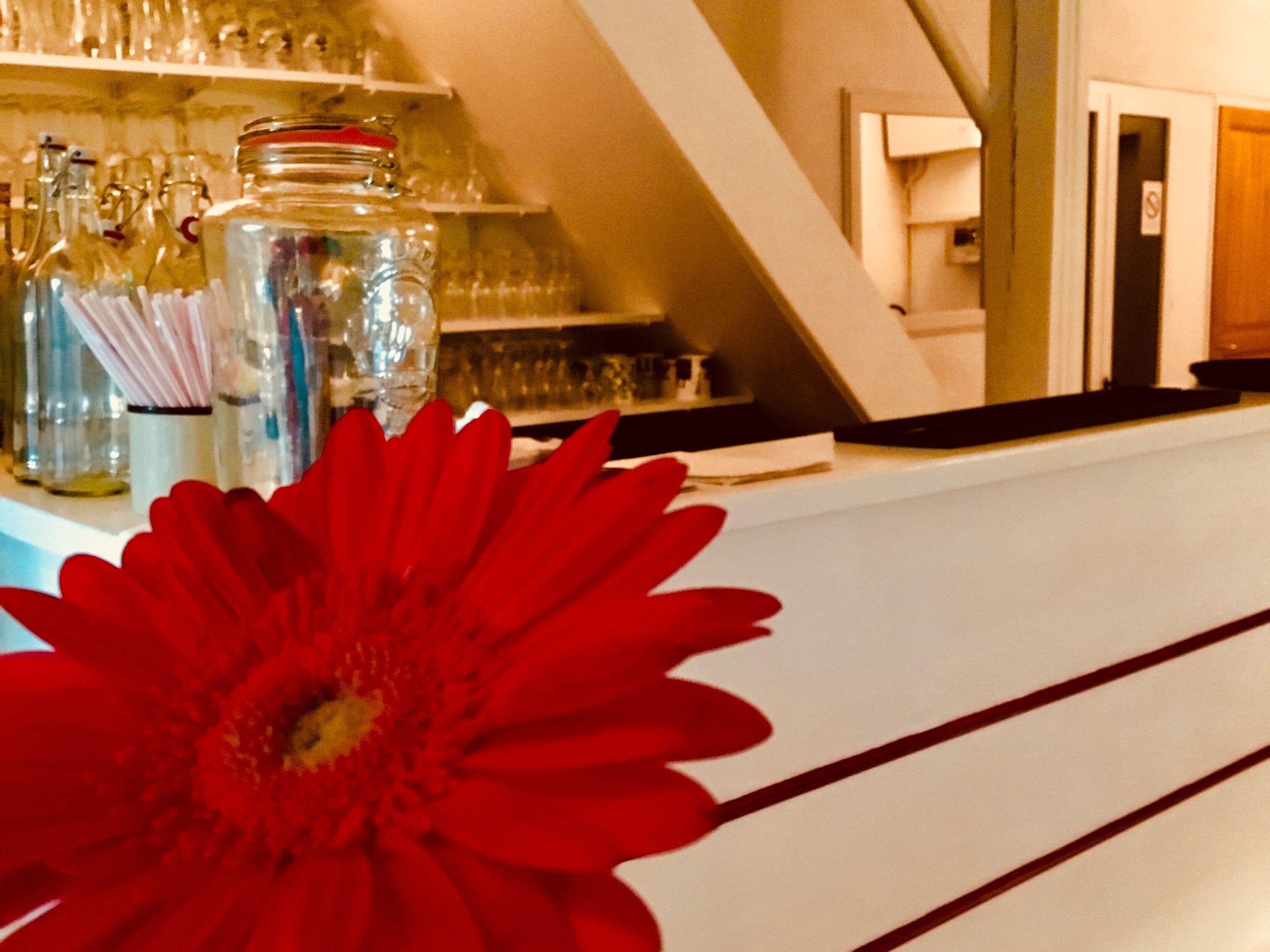 A bar area with a red flower centerpiece, shelves with glass bottles, and a white counter.