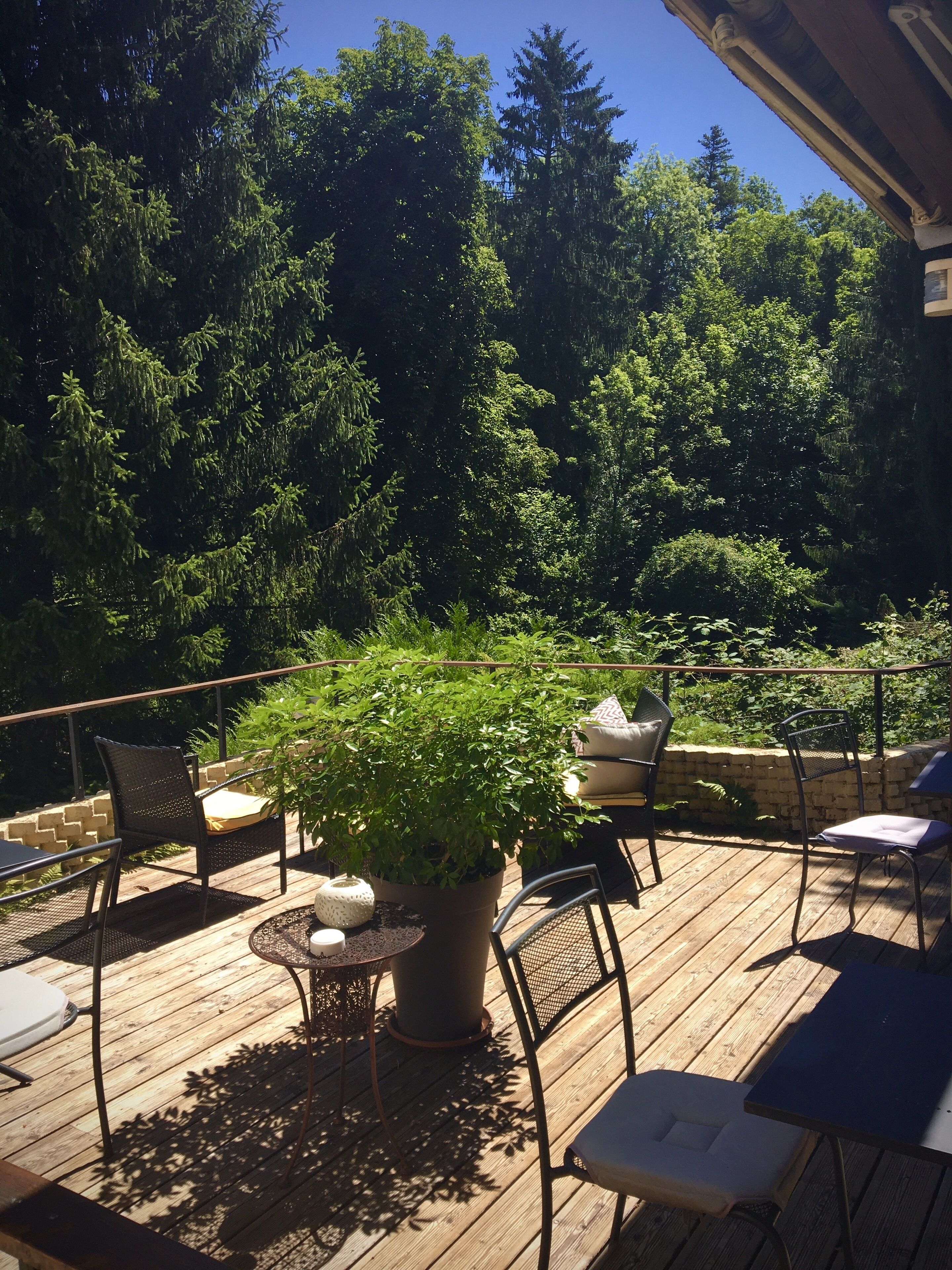 A wooden deck with outdoor furniture, including chairs and a table, surrounded by lush greenery and trees.