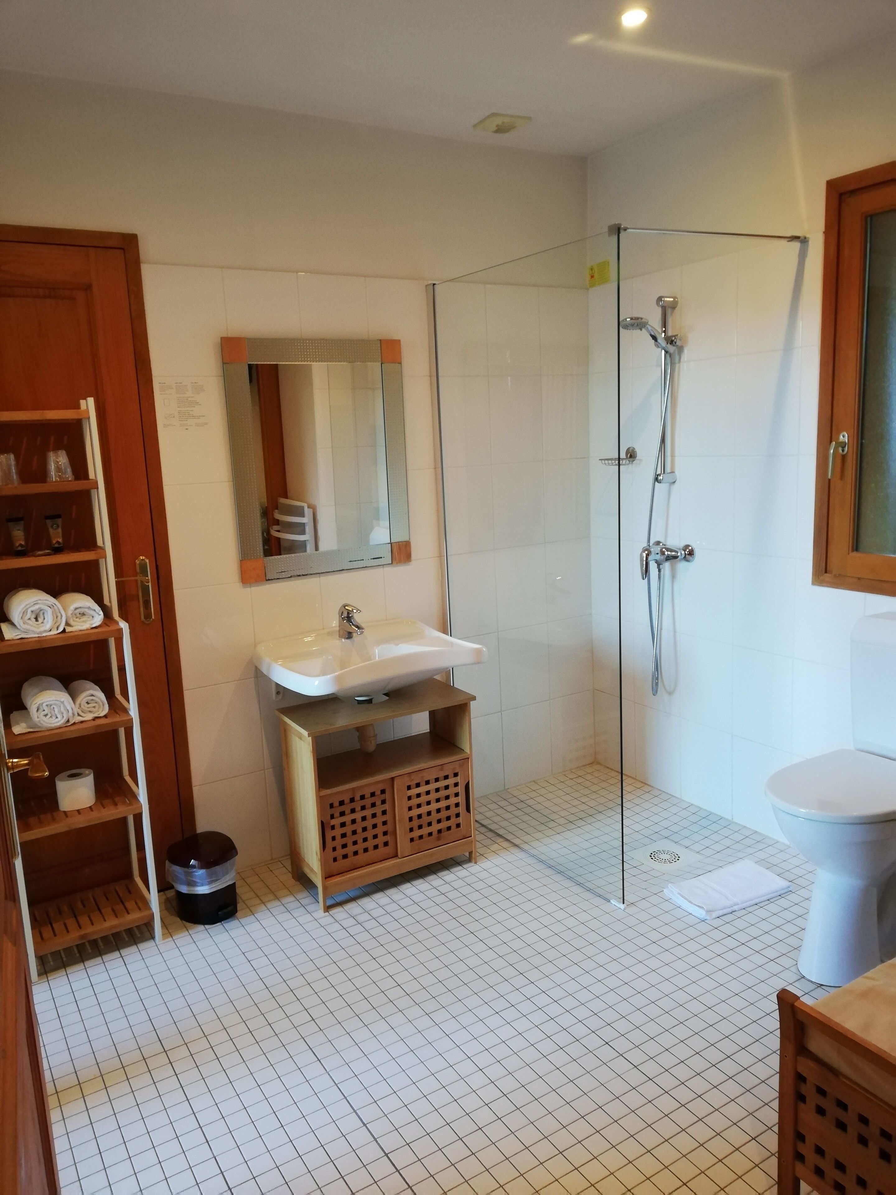 A bathroom with a glass-enclosed shower, a sink with a mirror above it, and a toilet. There are shelves with towels and a trash bin.