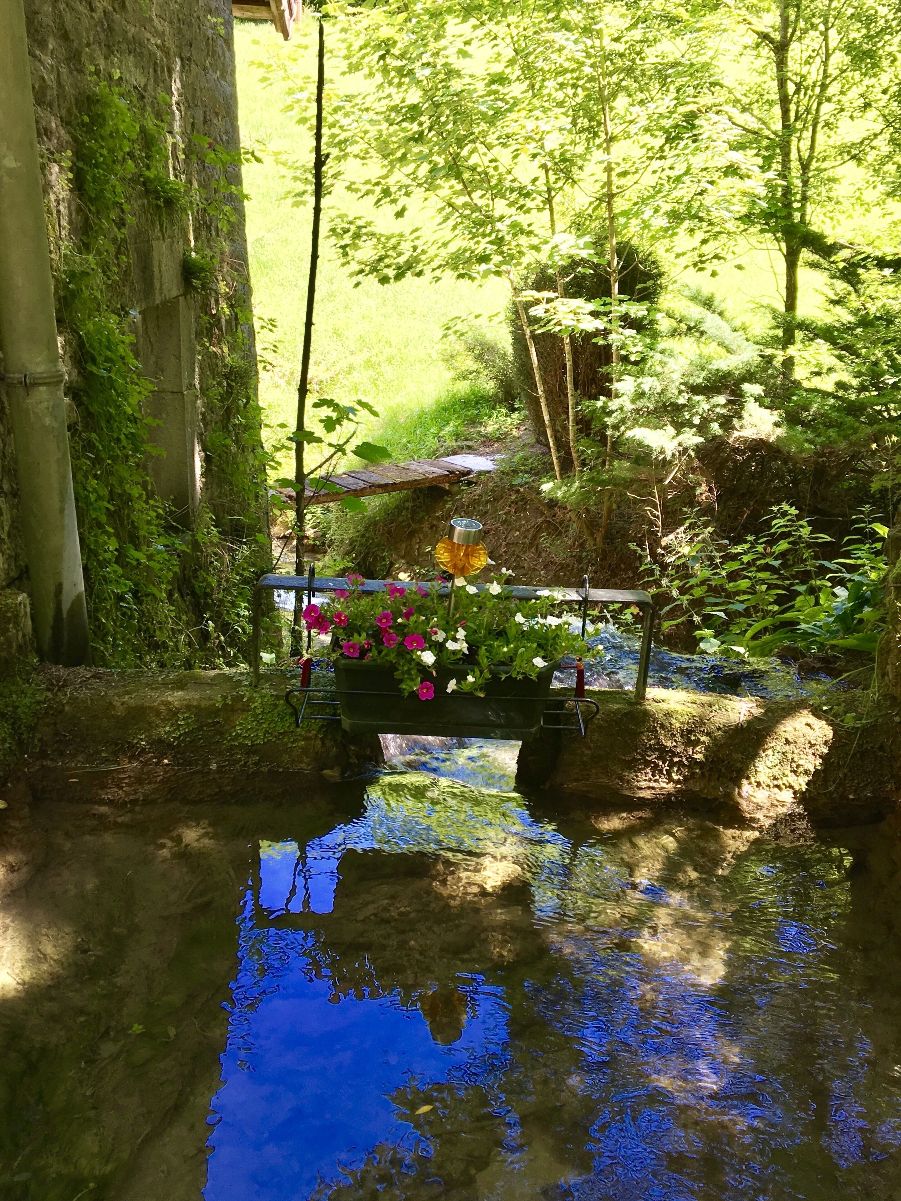 Un jardín tranquilo con un pequeño estanque, un puente de madera y una maceta con flores.