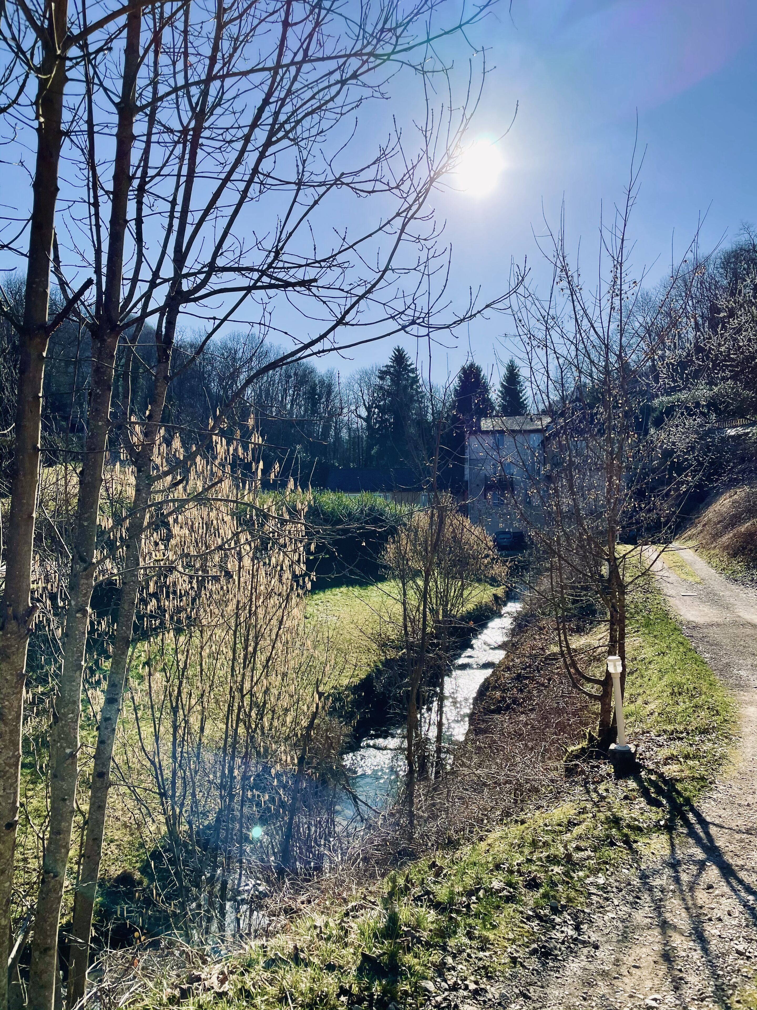 Un paysage rural avec un petit ruisseau, des arbres et un sentier de terre.