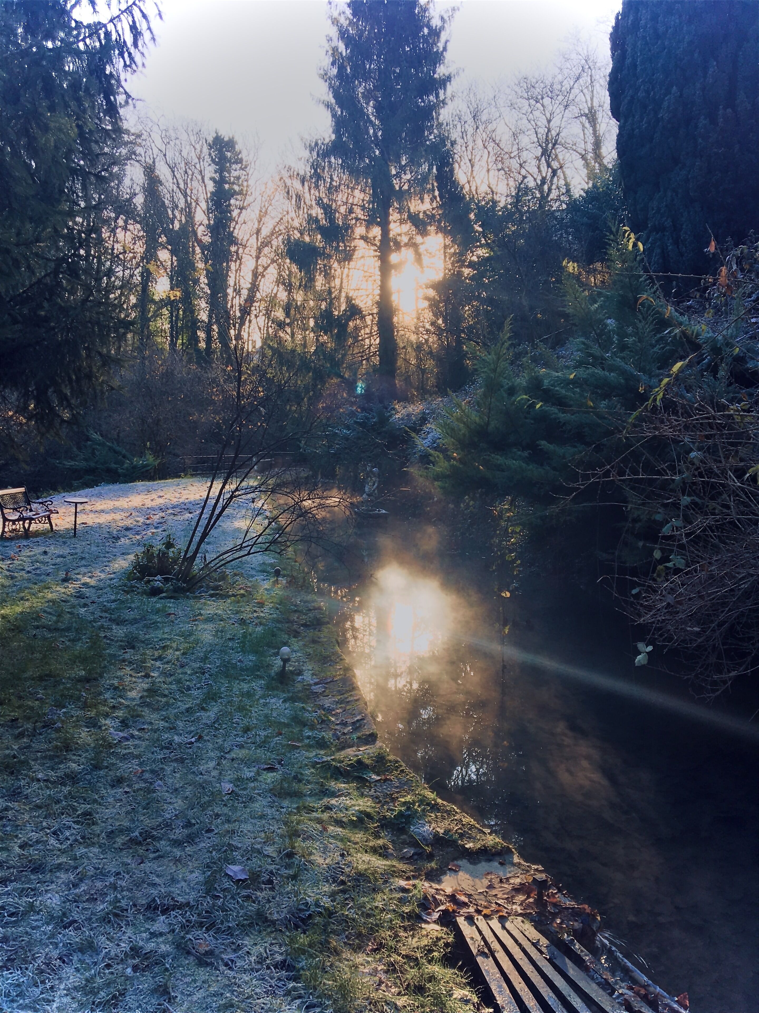 Un ambiente naturale all'aperto con un pontile in legno, un tavolino e sedie, circondato da alberi e una superficie d'acqua che riflette la luce del sole.