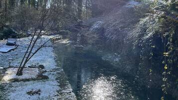 Escena apacible a orillas del río, con suelo y árboles nevados, reflejando la luz del sol en el agua.