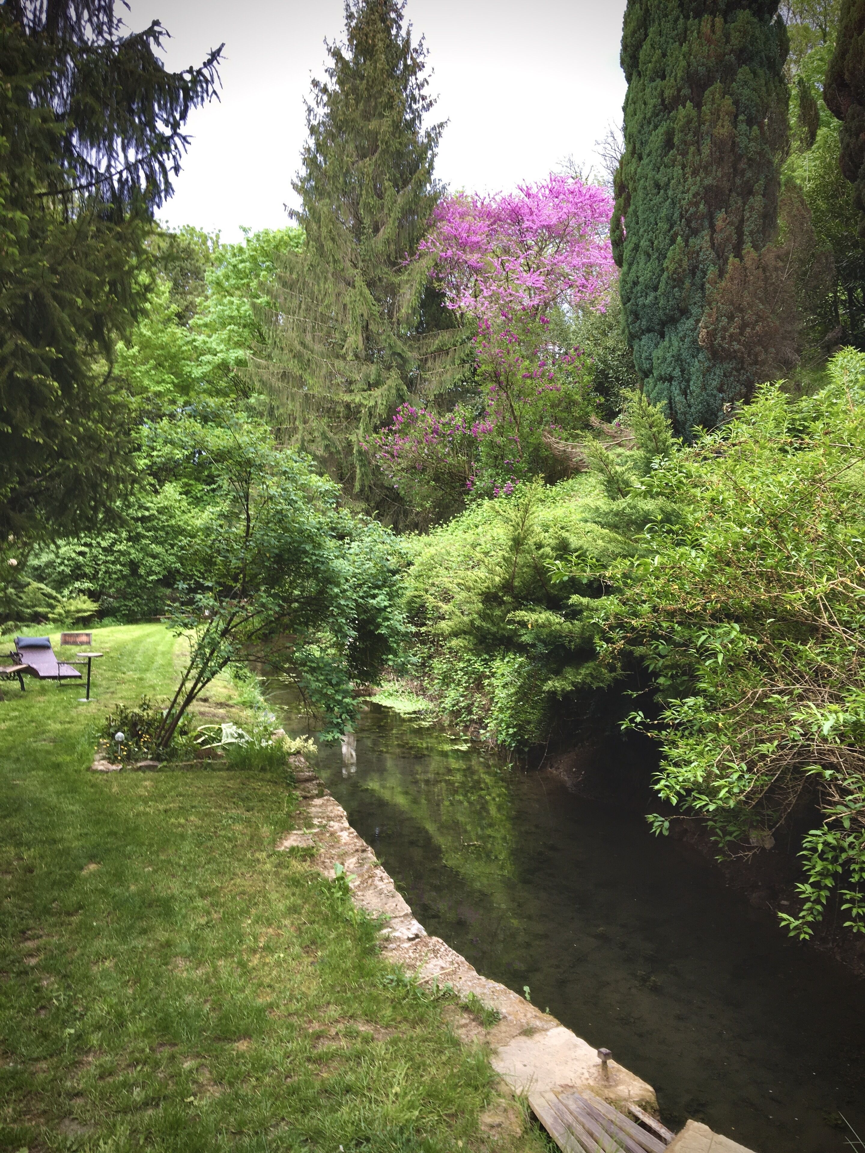 A serene garden with a pond, lush greenery, and a wooden deck.