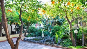 An outdoor garden area with orange trees and various plants. - Ares Hotel (San Giovanni la Punta)