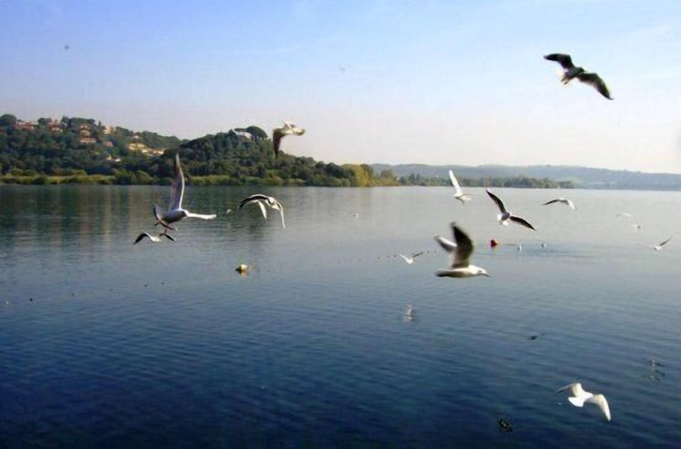 A lake with birds flying over it.