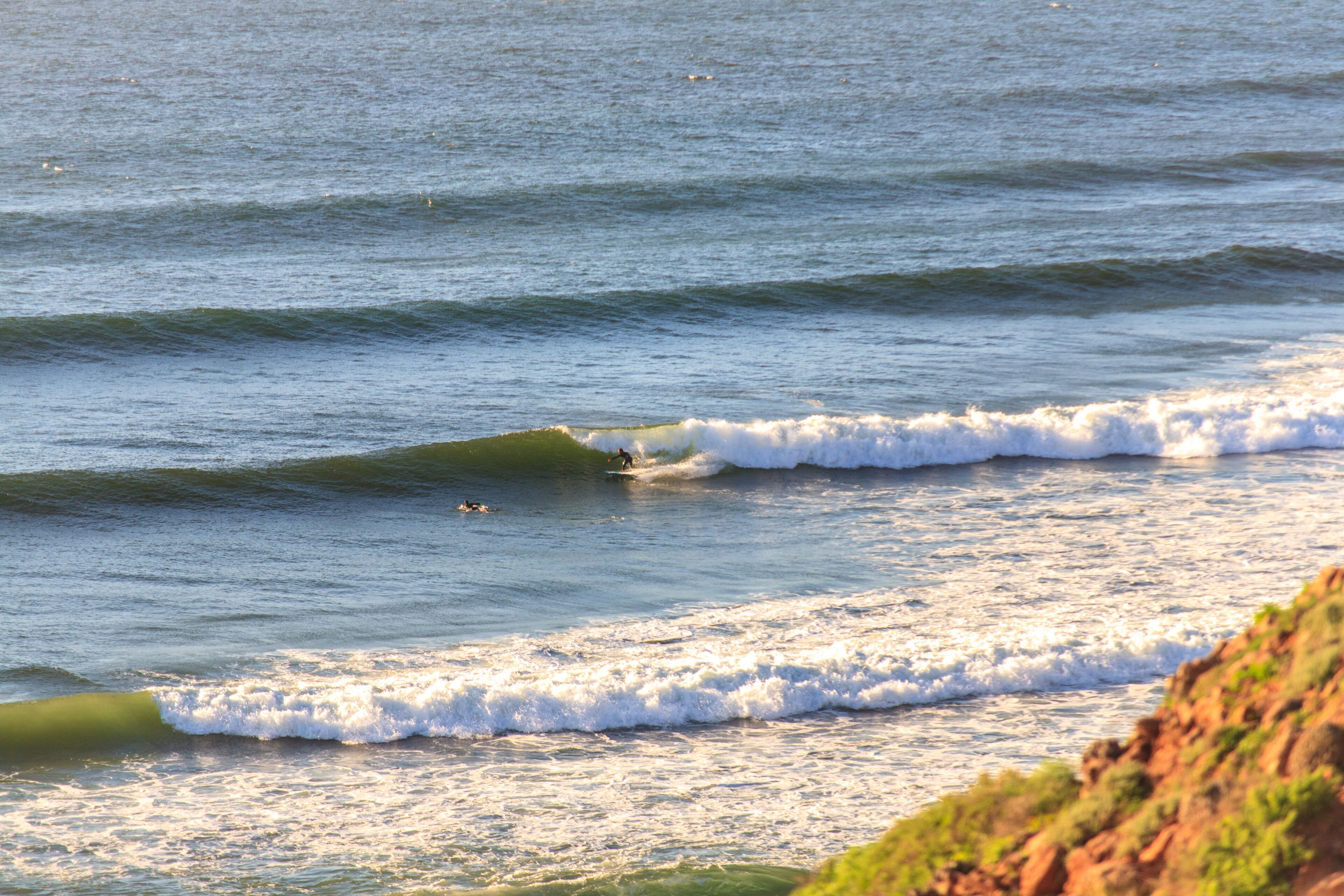 Surf/bodyboard