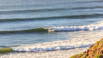Surf/bodyboard